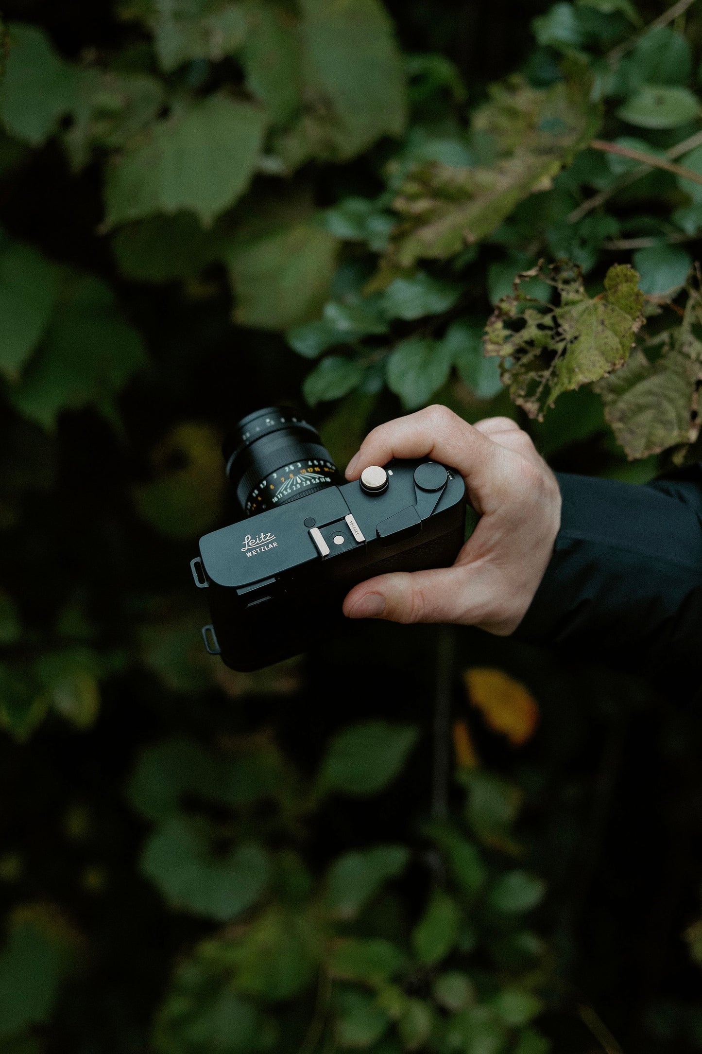 Soft Shutter Release